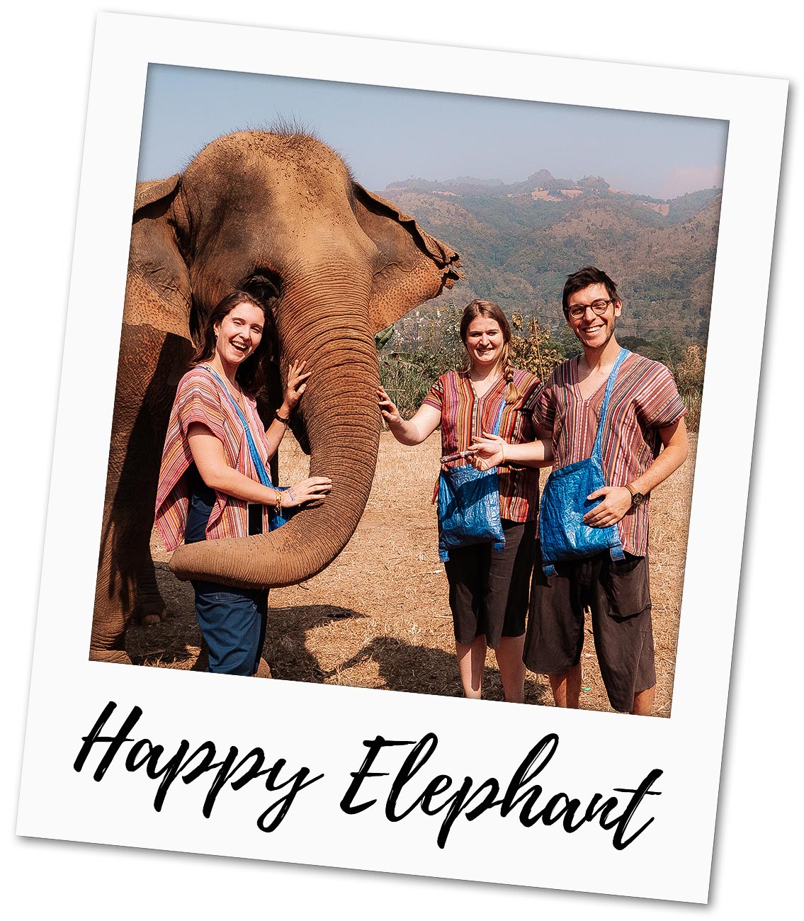 Éléphants Thaïlande