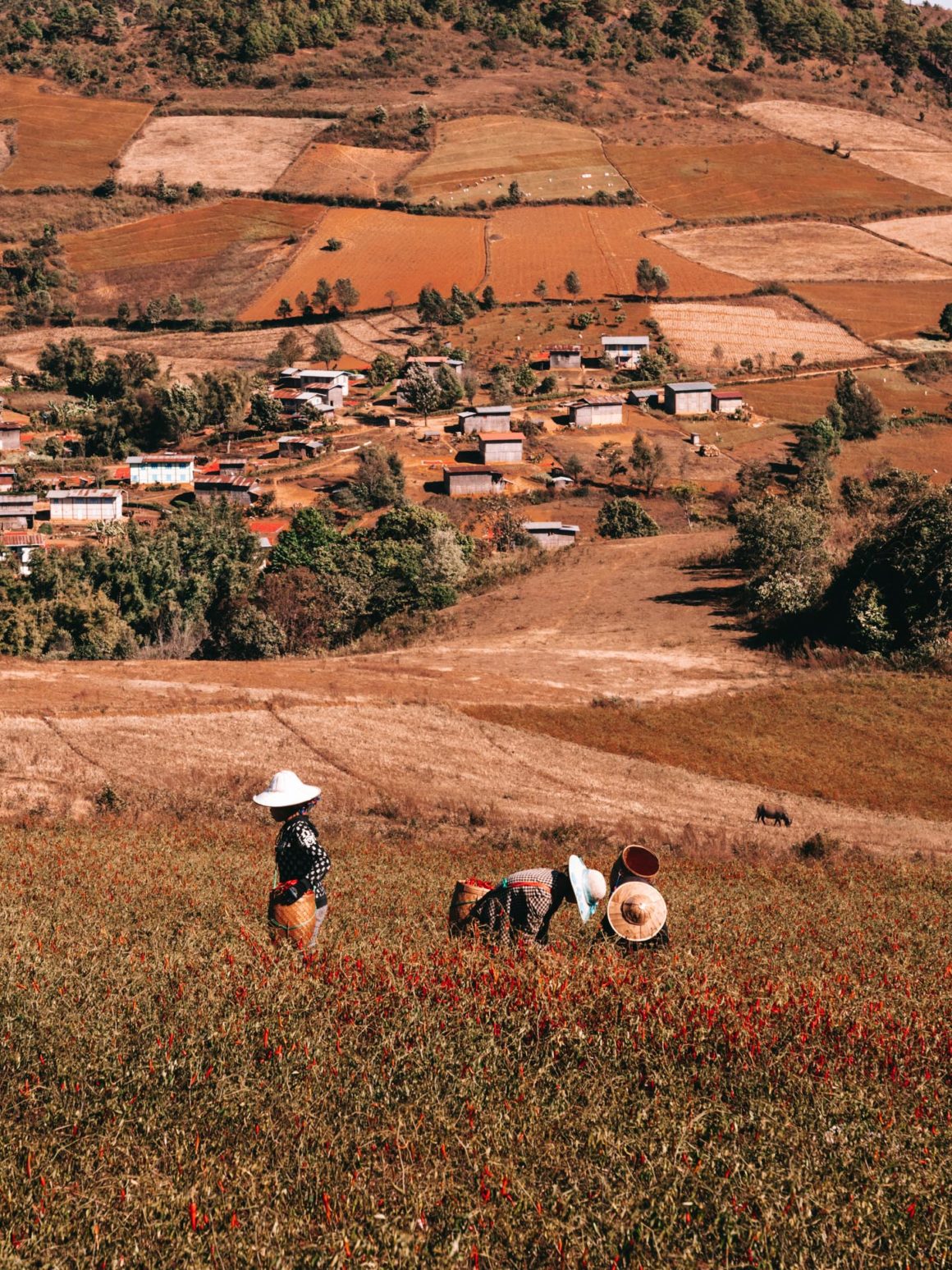 Trek Kalaw Inle