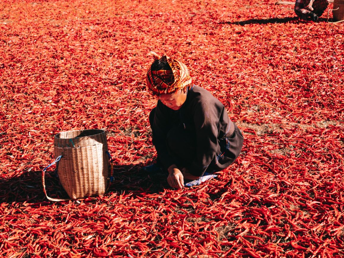 Trek Kalaw Inle piments