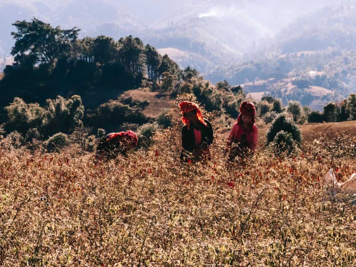 Trek Kalaw Inle