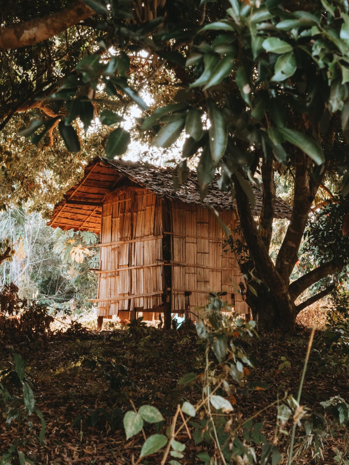 Cabane trek Chiang Mai