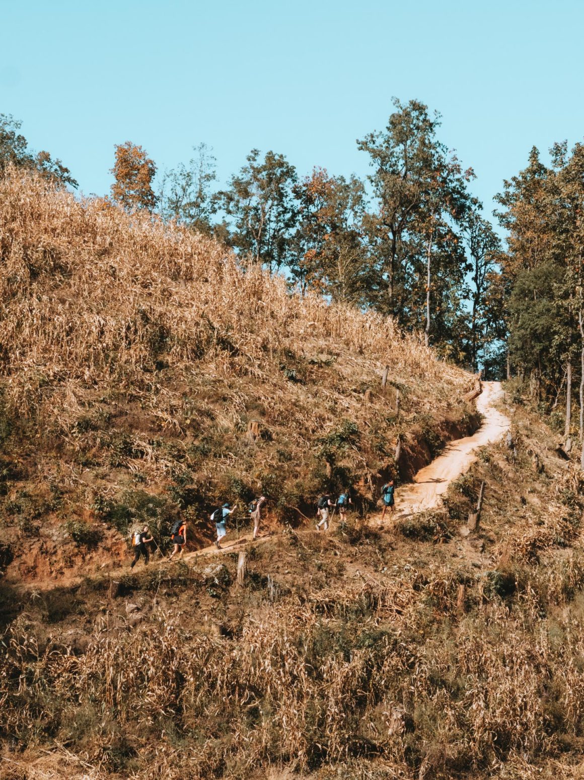 Trek Chiang Mai