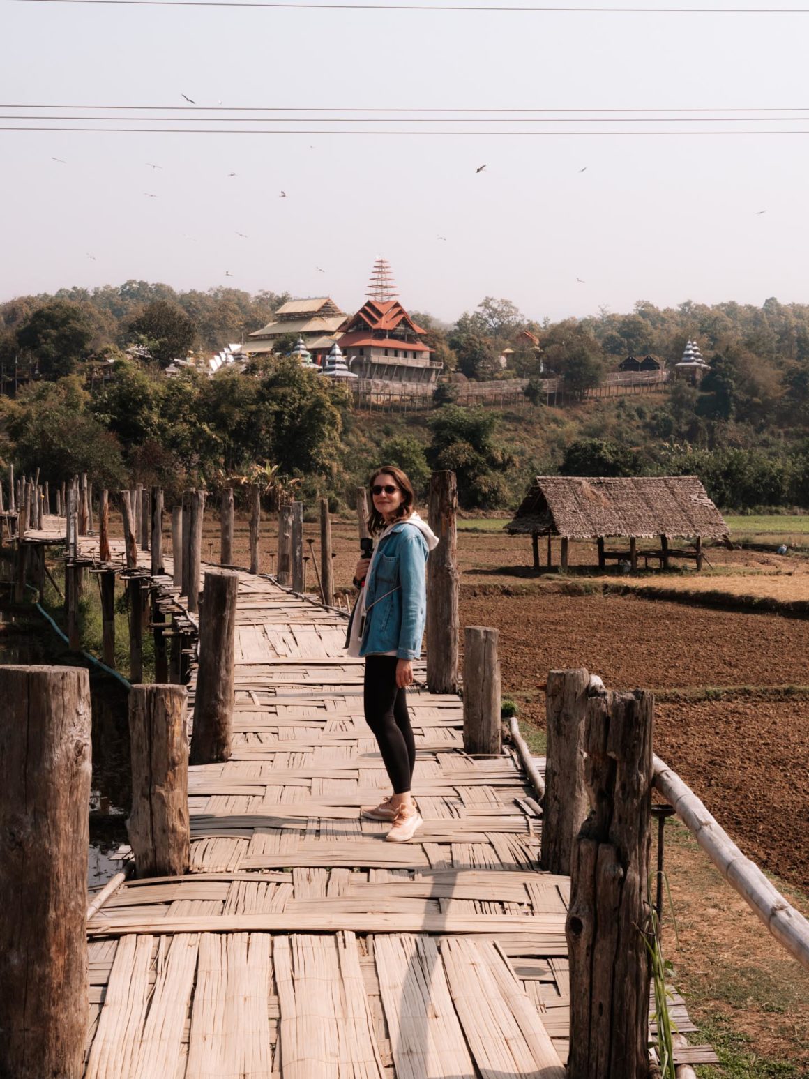 Bamboo bridge