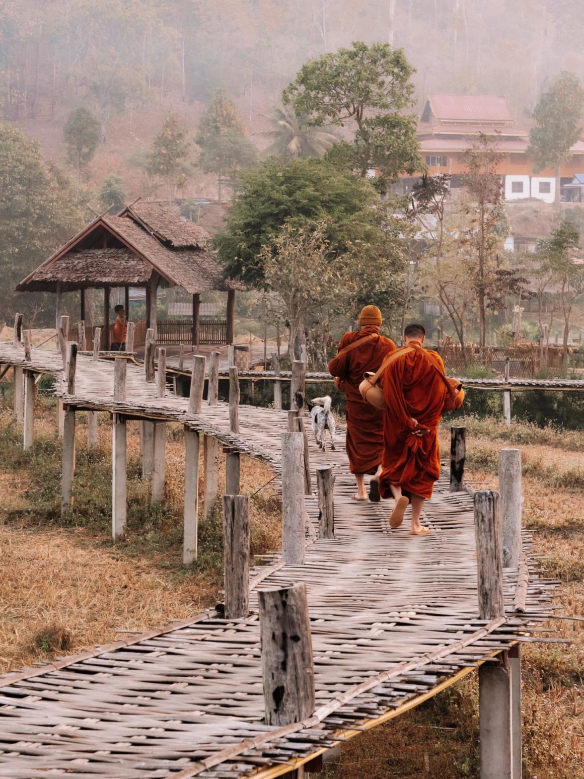 Bamboo bridge moines