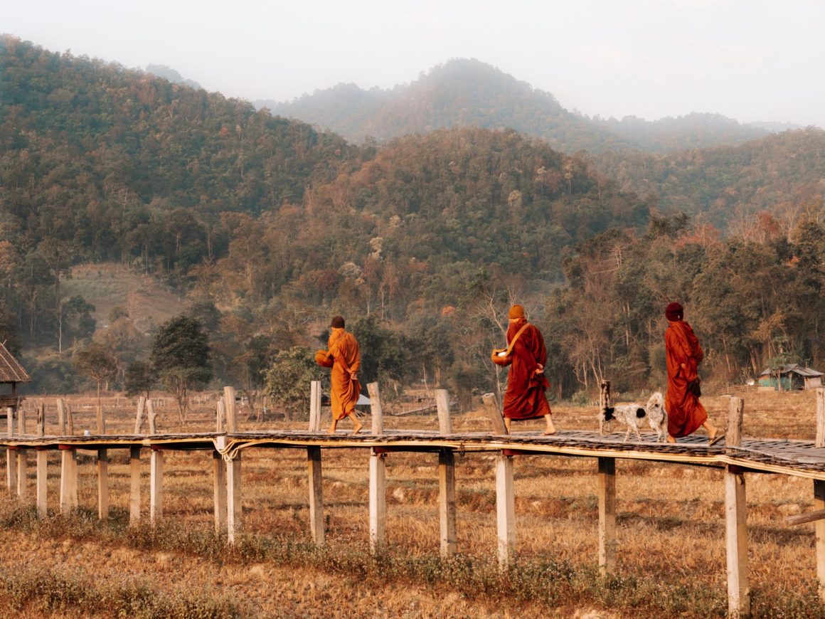 Pont bambou Pai moines